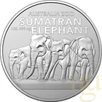 1 Unze Silbermünze Australia Zoo - Elefant 2022