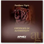 1 Unze Goldmünze Laos Tiger 2022
