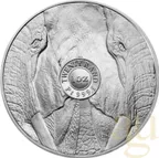 1 Unze Platinmünze Südafrika Big Five Elefant 2023