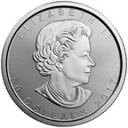 1 Unze Platinmünze Maple Leaf