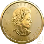 1/2 Unze Goldmünze Maple Leaf 2023