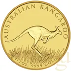1/2 Unze Goldmünze Australien Känguru 2008