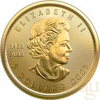 1/10 Unze Goldmünze Maple Leaf 2023