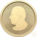 1/2 Unze Goldmünze Maple Leaf 2024