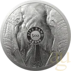 5 Unzen Silbermünze Südafrika Big Five Elefant 2021 proof