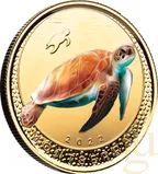 1 Unze Goldmünze EC8 Montserrat - Sea Turtle 2022 - coloriert