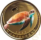 1 Unze Goldmünze EC8 Montserrat - Sea Turtle 2022 - coloriert