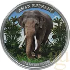 1 Unze Silbermünze Kambodscha Asien Big Five Elefant 2023 - coloriert