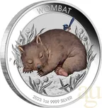 1 Unze Silbermünze Australien Wombat 2023 coloriert - Coincard