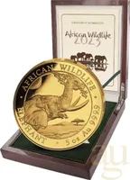 5 Unzen Goldmünze Somalia Elefant 2023 - polierte Platte
