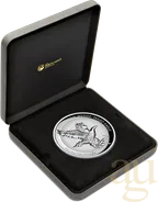 10 Unzen Silbermünze Australien Wedge Tailed Eagle 2023 - Incused Coin