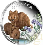 1 Unze Silbermünze Australien Quokka 2023 coloriert - polierte Platte
