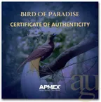 1 Unze Goldmünze Papua New Guinea Bird of Paradise 2023