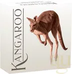 1 Unze Silbermünze Australien Känguru 2023 - polierte Platte - High Relief - coloriert