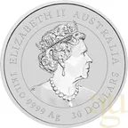 1 Kilogramm Silbermünze Australien Lunar III Hase 2023 - coloriert