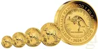 1 Unze Goldmünze Australien Känguru 2024