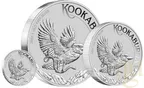 1 Unze Silbermünze Australien Kookaburra 2024