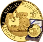 1 Unze Goldmünze Somalia Elefant 2024 - WMF Berlin