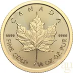 1/4 Unze Goldmünze Maple Leaf 2024