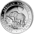 1 Kilogramm Silbermünze Somalia Elefant 2011