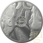 5 Unzen Silbermünze Südafrika Big Five Nashorn 2022 proof