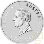 1 Unze Silbermünze Australien Schwan 2024 - coloriert