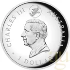 1 Unze Silbermünze Australien Wedge Tailed Eagle 10th Anniversary 2024 High Relief - teilvergoldet