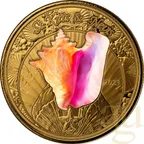1 Unze Goldmünze EC8 St. Kitts & Nevis - Conch Shell 2023 - coloriert