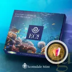 1 Unze Goldmünze EC8 St. Kitts & Nevis - Conch Shell 2023 - coloriert