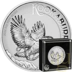5 Unzen Silbermünze Australien Kookaburra 2024 - Incused Coin