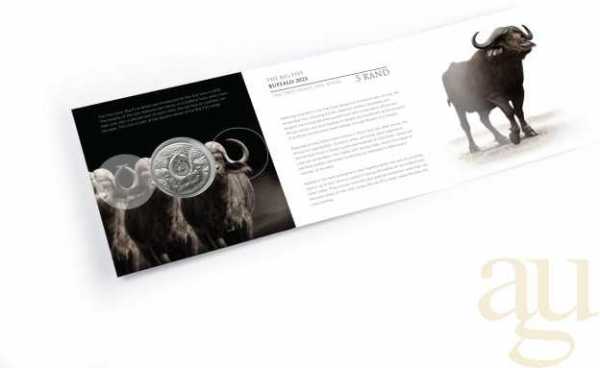 1 Unze Silbermünze Südafrika Big Five Büffel 2023