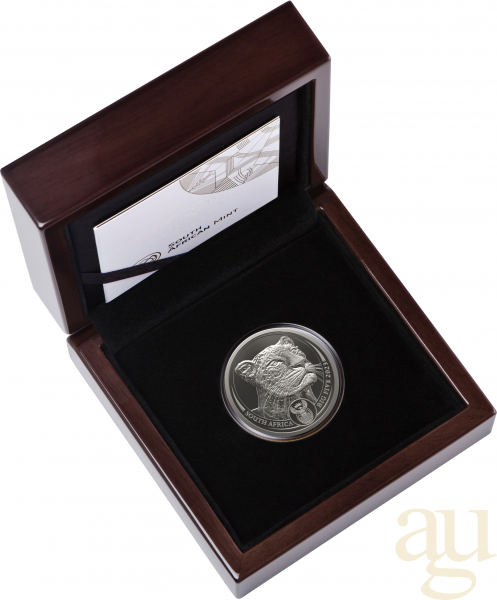 1 Unze Platinmünze Südafrika Big Five Leopard 2023 proof