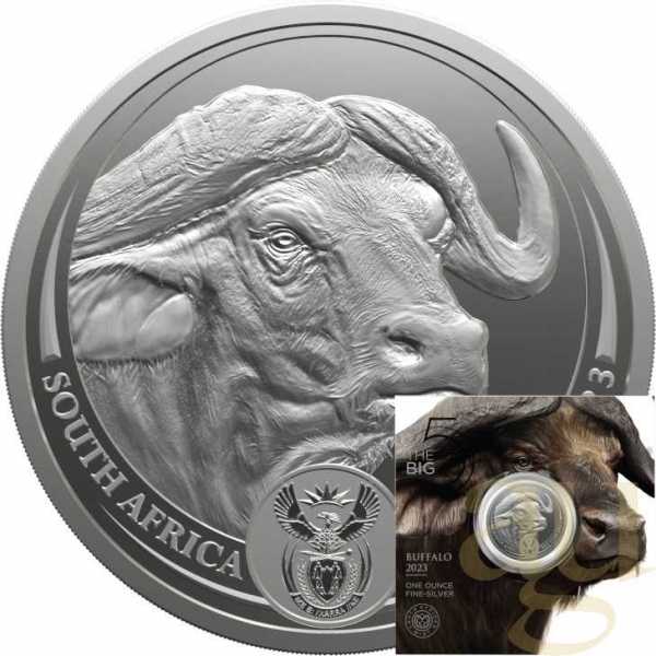 1 Unze Silbermünze Südafrika Big Five Büffel 2023