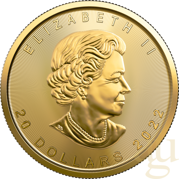 1/2 Unze Goldmünze Maple Leaf 2022