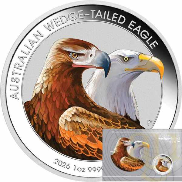 1 Unze Silbermünze Australien Wedge Tailed Eagle 2026 coloriert - Coincard