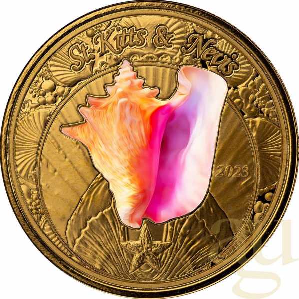 1 Unze Goldmünze EC8 St. Kitts & Nevis - Conch Shell 2023 - coloriert