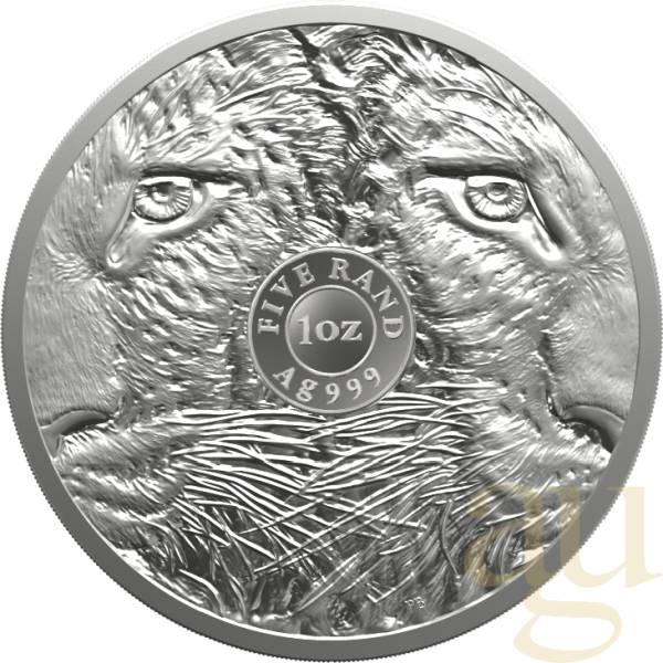 1 Unze Silbermünze Südafrika Big Five Leopard 2023