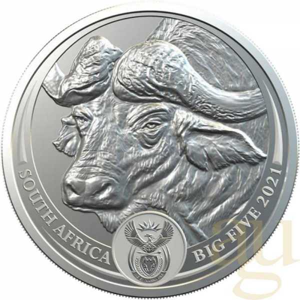 1 Unze Silbermünze Südafrika Big Five Büffel 2021