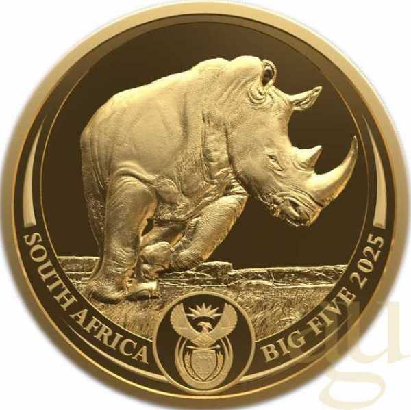 1/4 Unze Goldmünze Südafrika Big Five Nashorn 2025 proof
