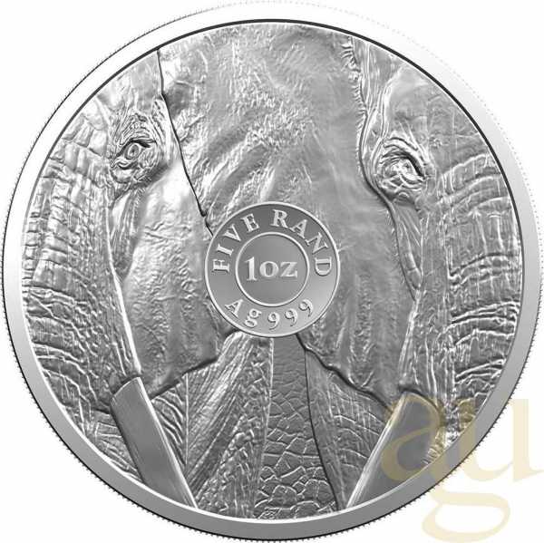 1 Unze Silbermünze Südafrika Big Five Elefant 2019