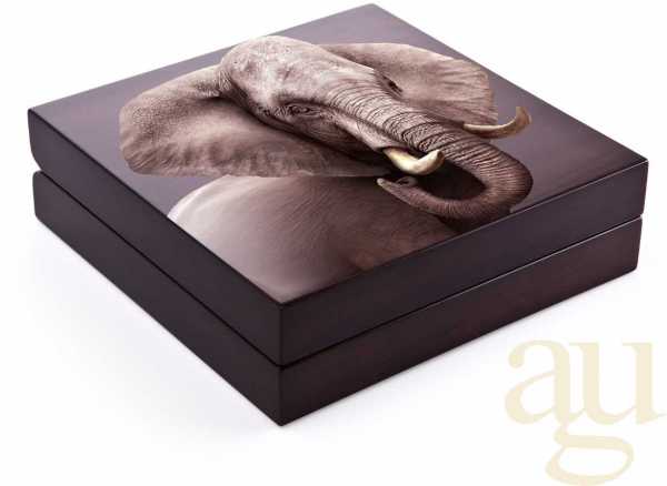 5 Unzen Silbermünze Südafrika Big Five Elefant 2021 proof