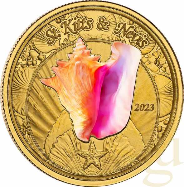 1 Unze Goldmünze EC8 St. Kitts & Nevis - Conch Shell 2023 - coloriert