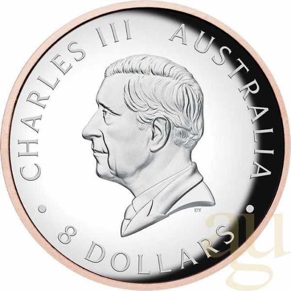 5 Unzen Silbermünze Australien Koala 2024 - High Relief - polierte Platte - rosè vergoldet