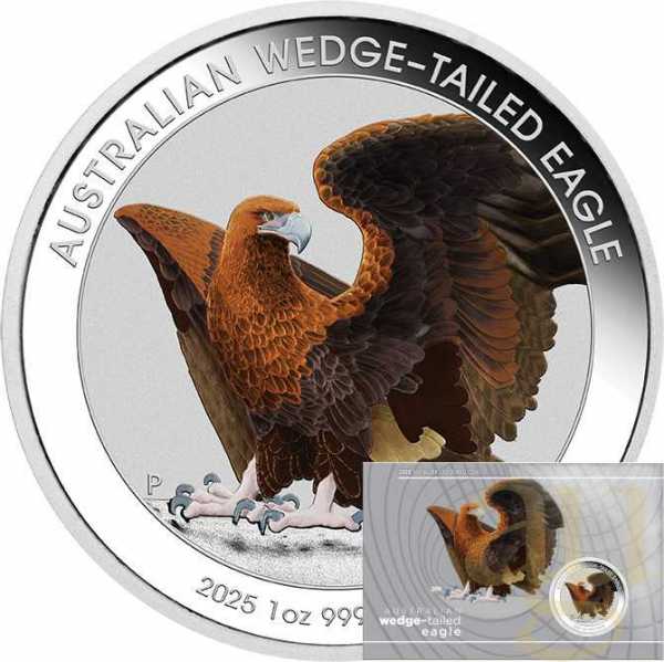 1 Unze Silbermünze Australien Wedge Tailed Eagle 2025 coloriert - Coincard