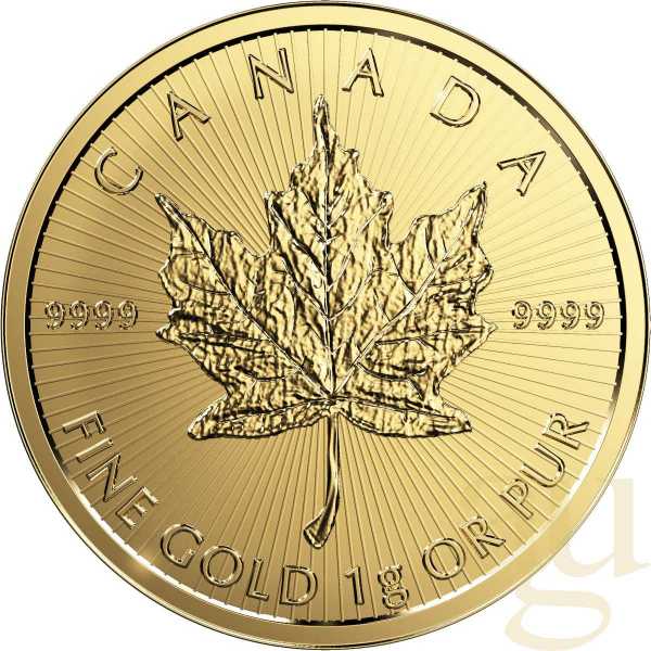 1 Gramm Goldmünze Maple Leaf