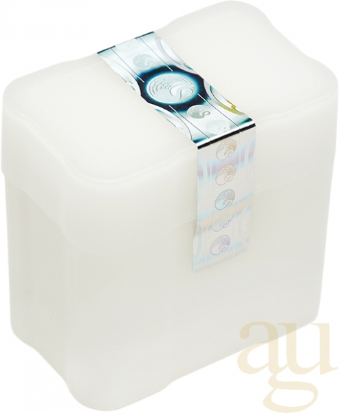 31,1 Gramm Silberbarren Perth Mint