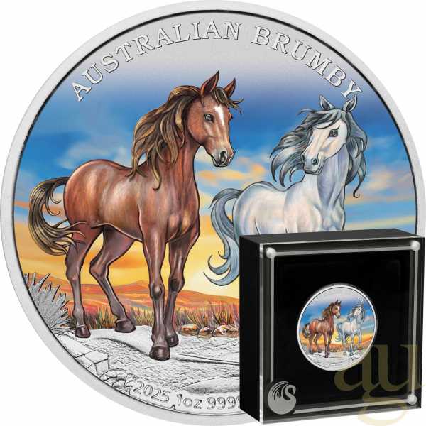 1 Unze Silbermünze Australien Brumby 2025 - coloriert