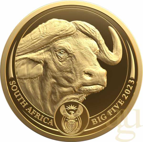 1/4 Unze Goldmünze Südafrika Big Five Büffel 2023 proof