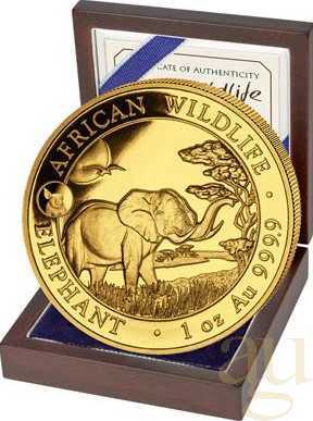 1 Unze Goldmünze Somalia Elefant 2019 - Privy Mark Schwein
