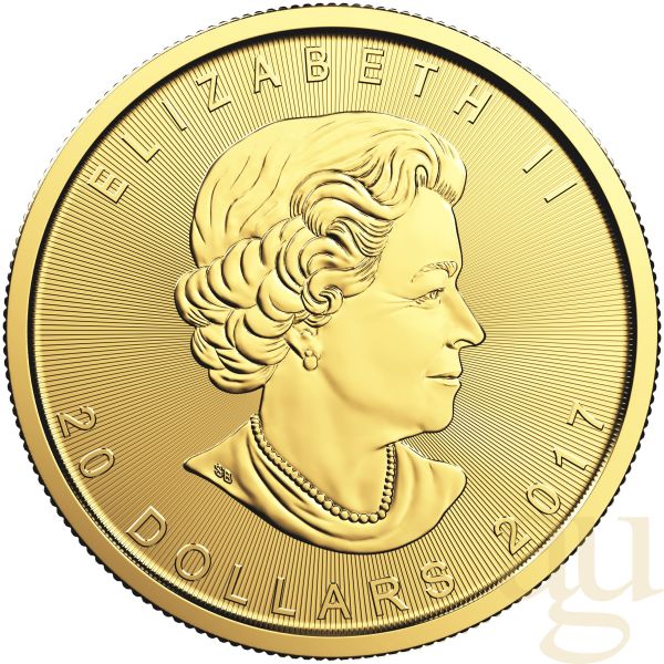 1/2 Unze Goldmünze Maple Leaf